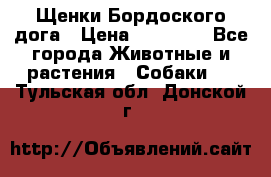 Щенки Бордоского дога › Цена ­ 60 000 - Все города Животные и растения » Собаки   . Тульская обл.,Донской г.